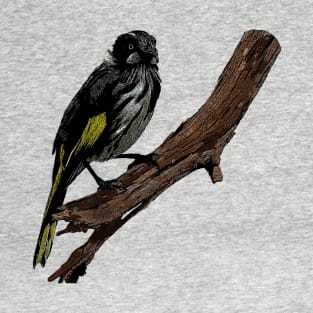 New Holland Honeyeater art T-Shirt